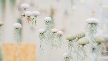 Airplant_Creativelife_83.jpg