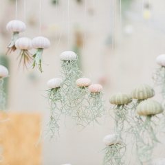 Airplant_Creativelife_83.jpg